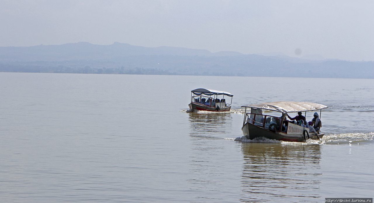 На Тане Озеро Тана, Эфиопия