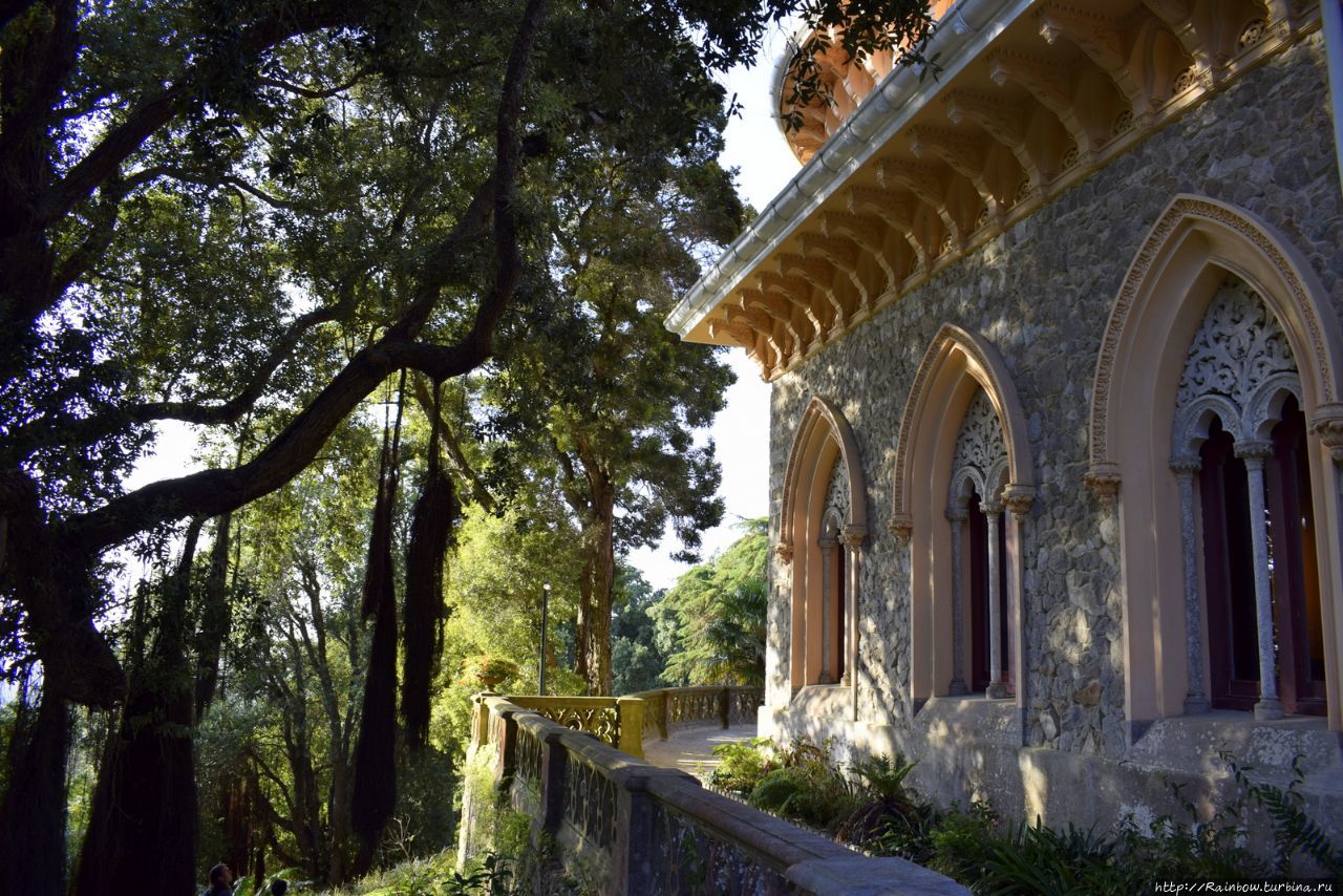 Парк и Дворец Монсеррат Синтра, Португалия Парк и Дворец Монсеррат Синтра, Португалия