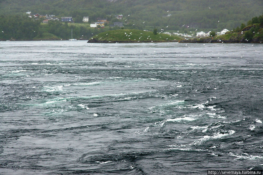 PlusCamp Saltstraumen