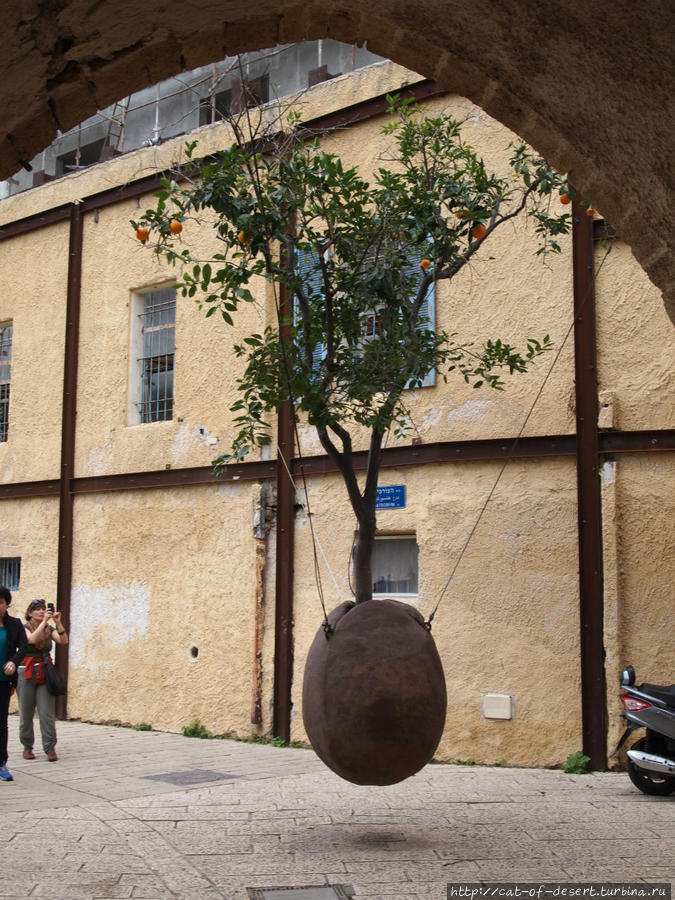 Висячее апельсиновое дерево — самая знаменитая инсталляция в Яффо. Тель-Авив, Израиль