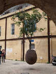Висячее апельсиновое дерево — самая знаменитая инсталляция в Яффо.