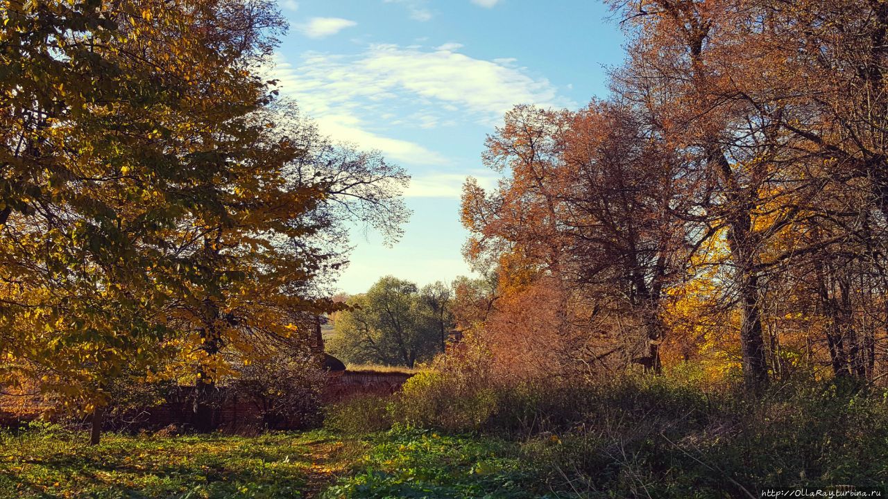 Ярополец. Усадьба Гончаровых -Загряжских. Кино и жизнь.