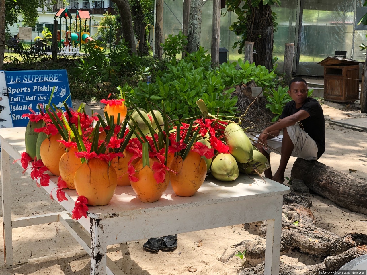 Ко-ко, или пара дней осталась до Бo-Валлон, Сейшельские острова