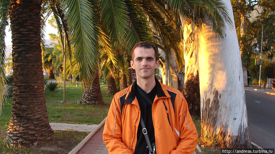 Между пальмами и эвкалиптами