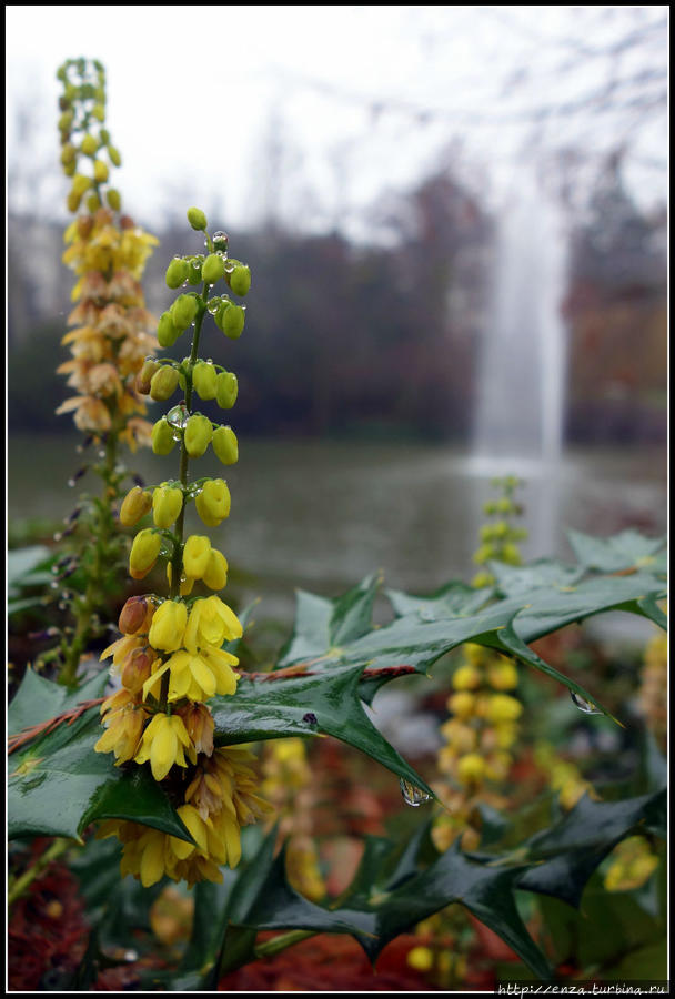 Висбаден после Рождества Висбаден, Германия