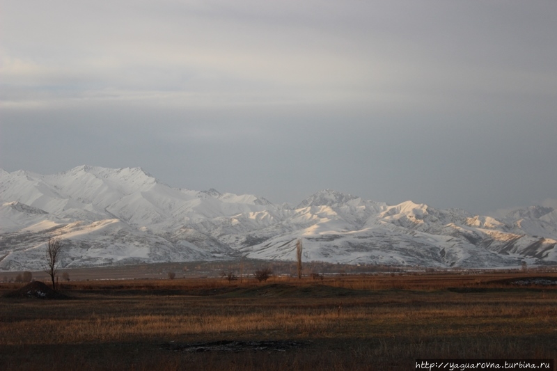 Музей-заповедник Бурана Бурана (Баласагун), Киргизия