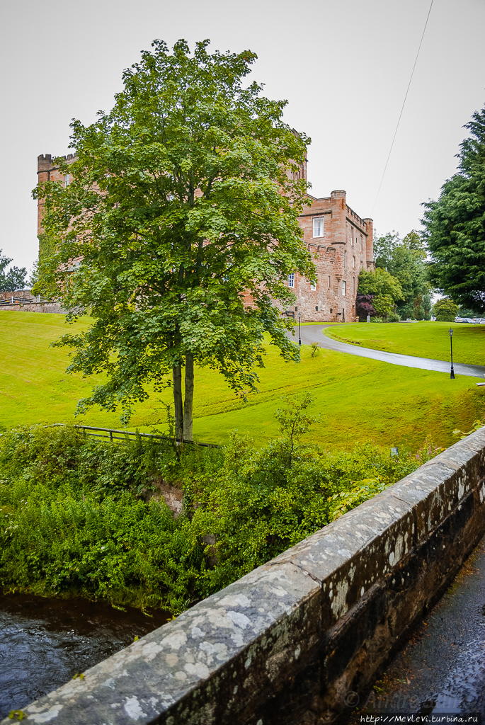 Dalhousie Castle. Шотландия .  соколиная охота Шотландия, Великобритания