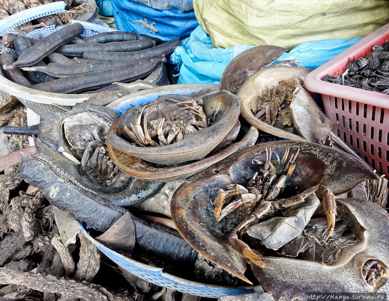 Рыбные ряды на центральном рынке Пномпеня. Фото из интернета Пномпень, Камбоджа