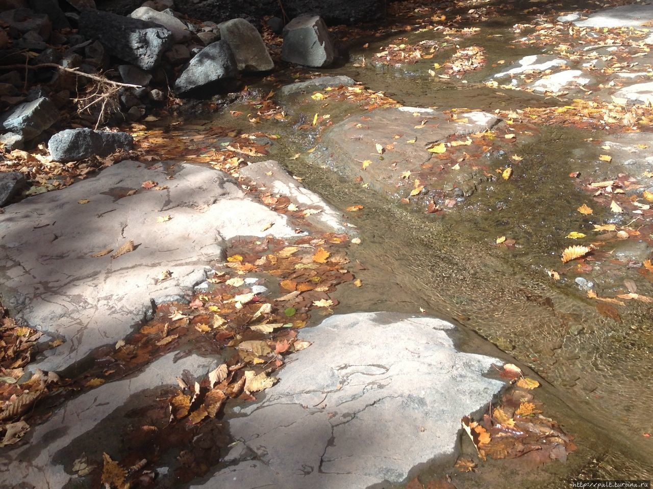 Русло ручья Кравцовский, 