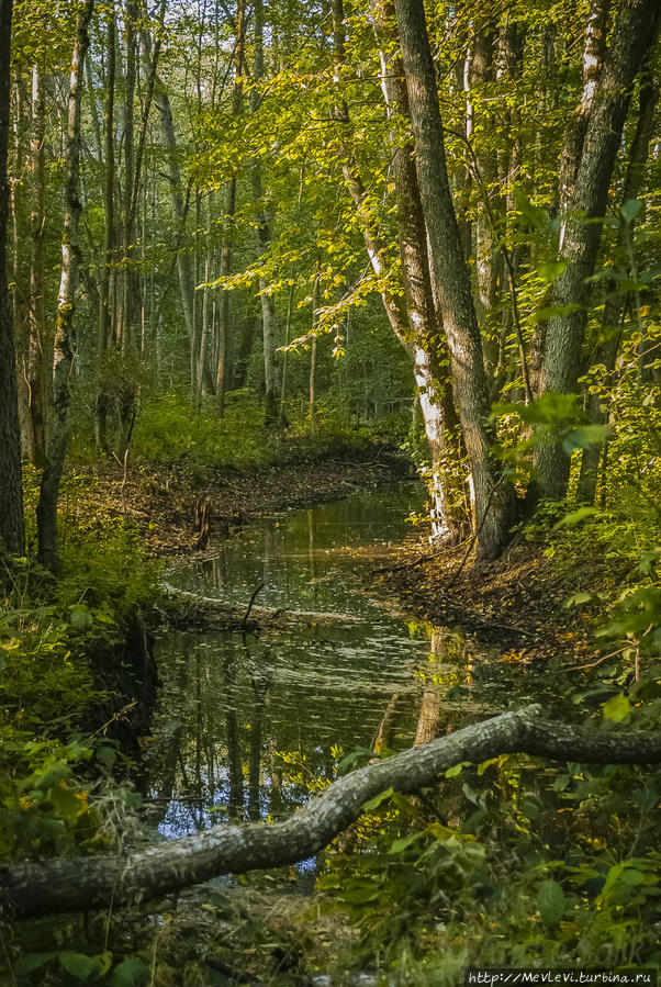 Тропа не для слабых Кемери, Латвия