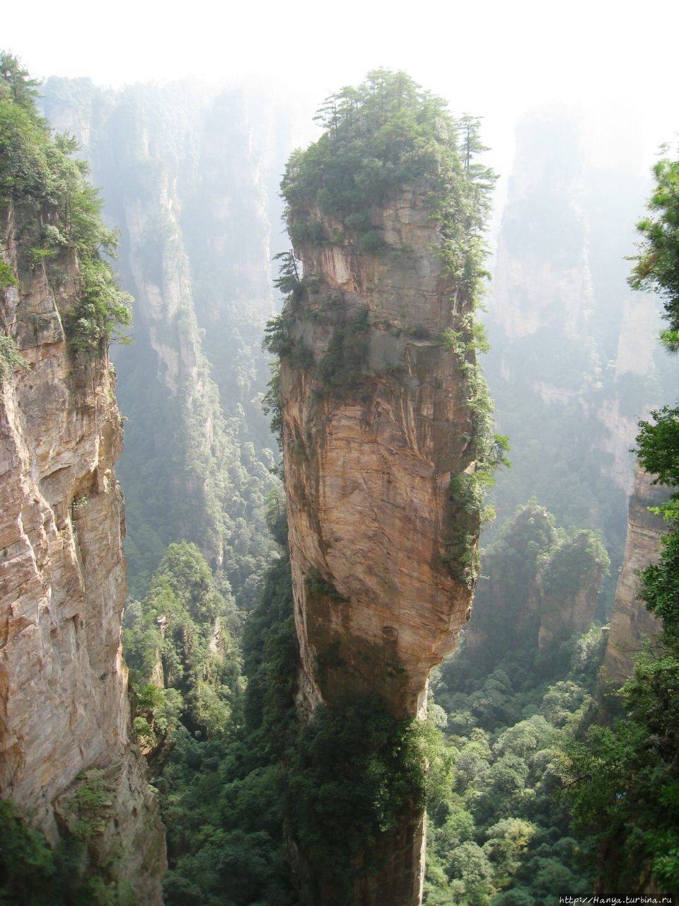 Гора Аватар Аллилуйя Чжанцзяцзе Национальный Лесной Парк (Парк Аватар), Китай