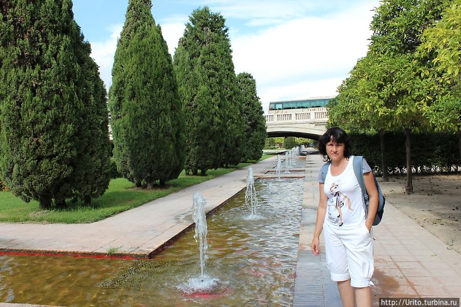 Jardin de Turia Валенсия, Испания