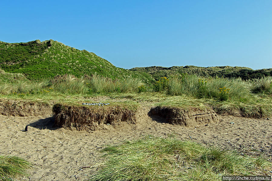 Murlough National Nature Reserve Мерлаф Природный Парк, Великобритания