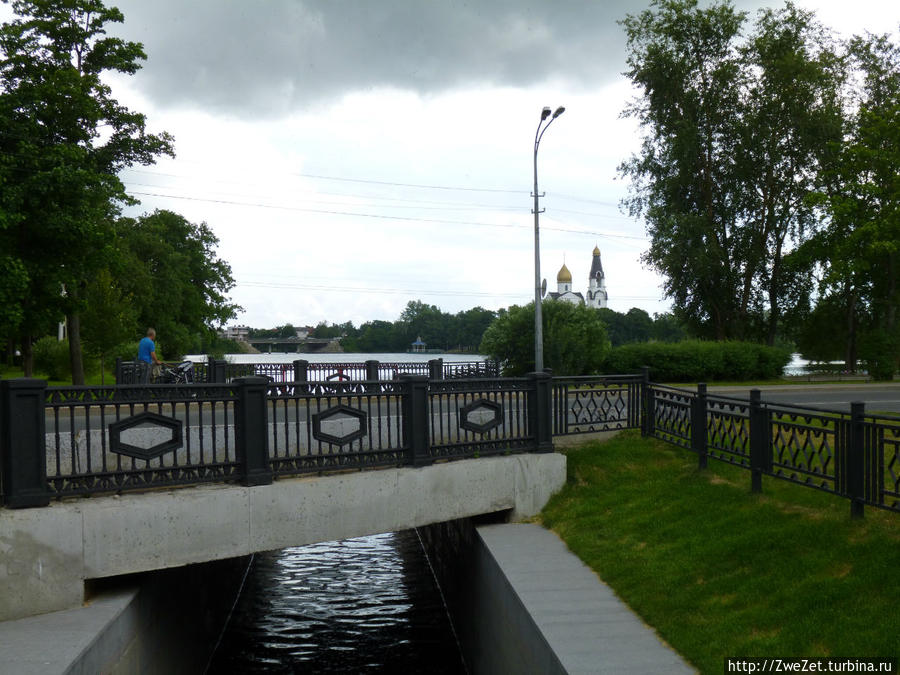 Под соснами Северной Ривьеры Сестрорецк, Россия