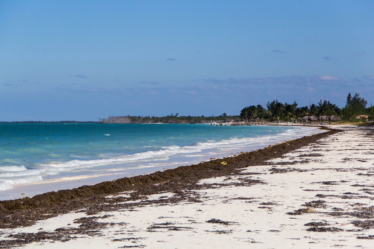 Кайо бланко куба. Парк кайо пьедрас,. Кайо норте. Сомбреро (ангилья). Куба дайвинг.
