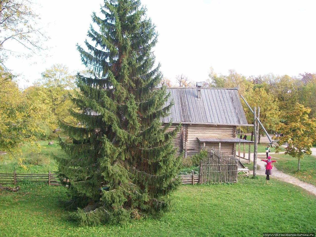 Поездка в осенние Витославицы Великий Новгород, Россия