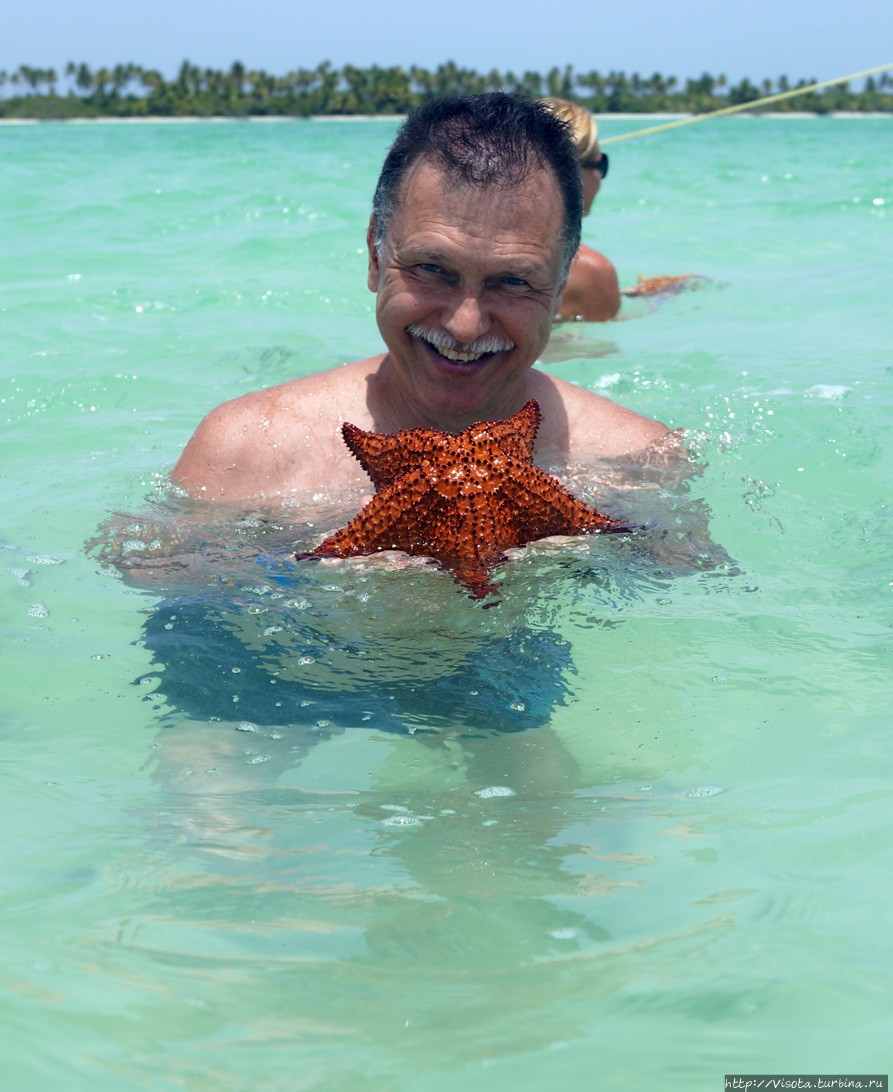 морские звезды Пунта-Кана, Доминиканская Республика