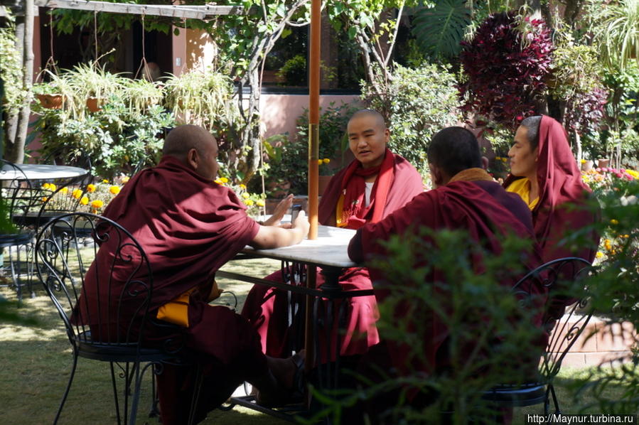 За  столиками,  которые  установлены  прямо  на  траве, зачастую  можно  было  увидеть  беседующих  монахов. Катманду, Непал