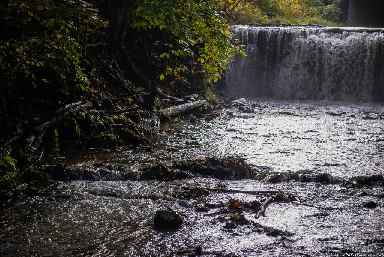Тропа вокруг МЕЛЬНИЦЫ ИЕРИКИ Цесис, Латвия