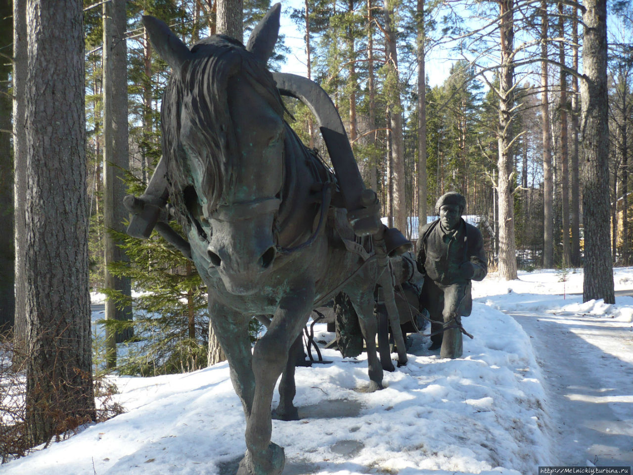 Лусто – музей леса Финляндии