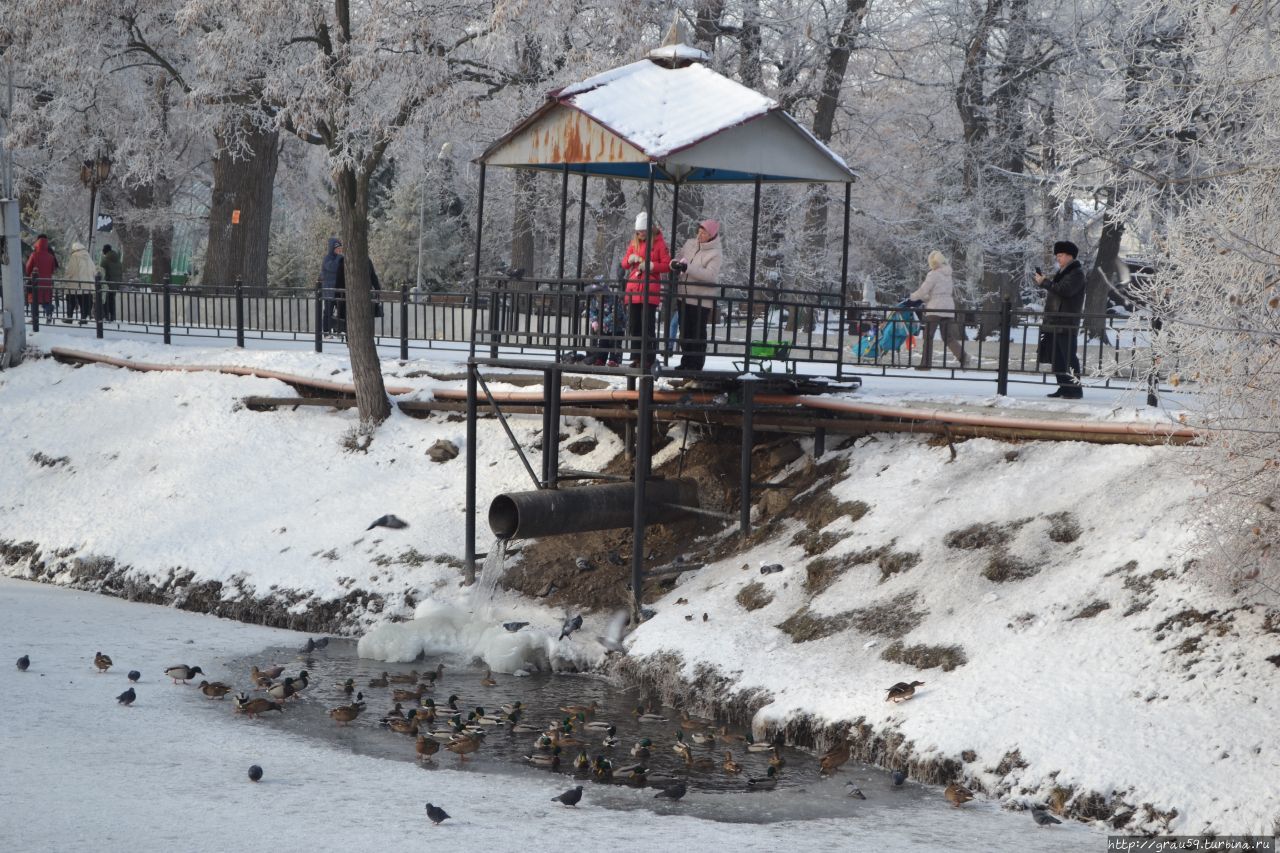 Городской парк культуры и отдыха 