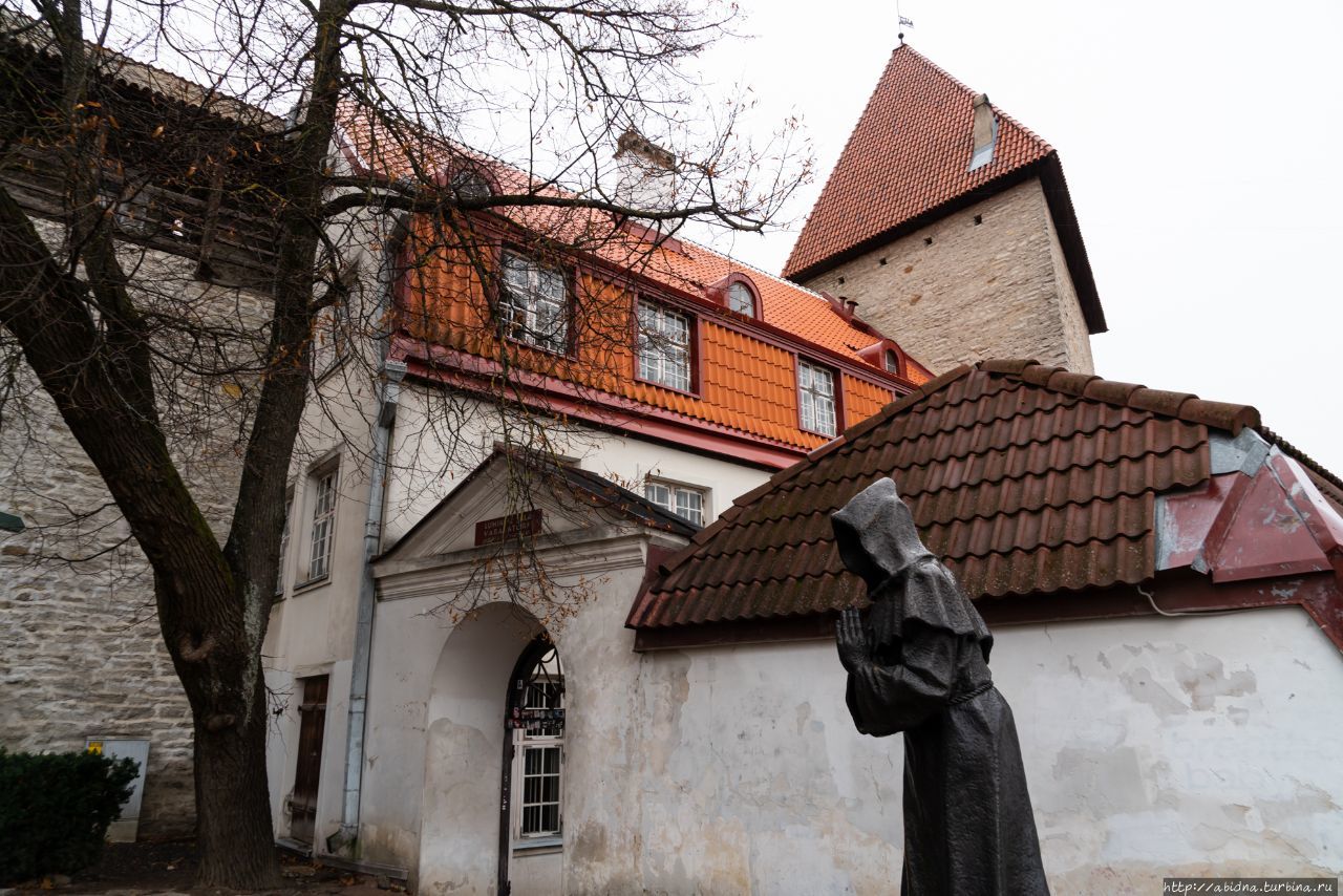 Дождливая осень в Таллине Таллин, Эстония