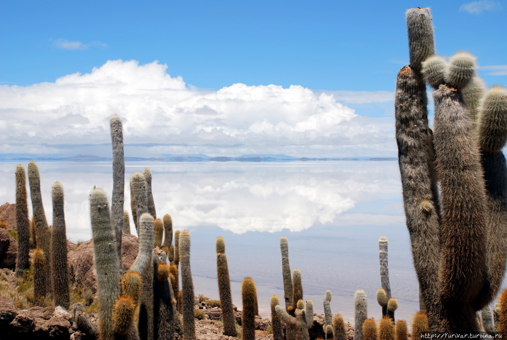 Зеркальная красота боливийского озера Уюни Уюни, Боливия