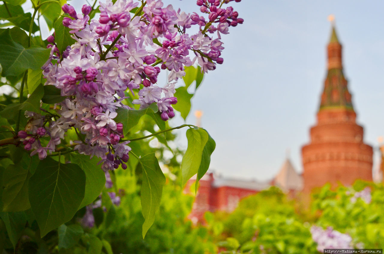 15 дождей и 2000 впечатлений 2015