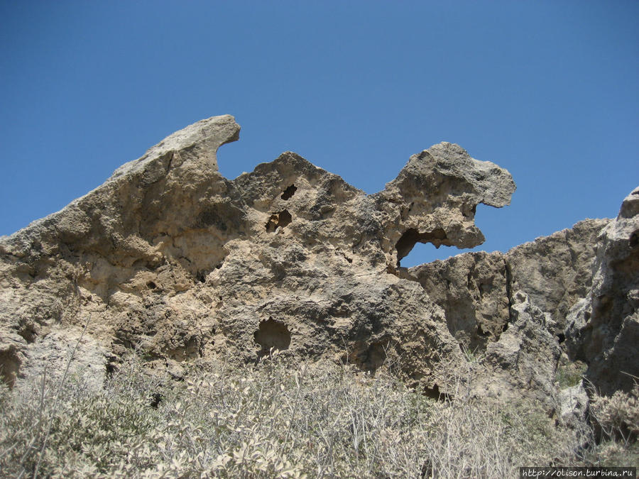 вот он- окаменевший Дракон! Акамас полуостров Национальный Парк, Кипр
