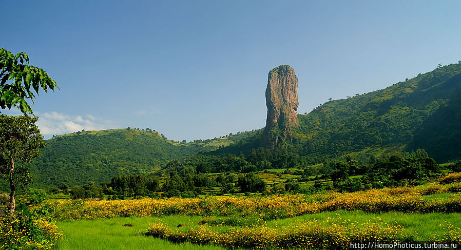 Горст на пути из Бахр-дара в Гондэр