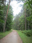 На шестой день путешествия захотелось подольше погулять на природе (путь в Михайловское).