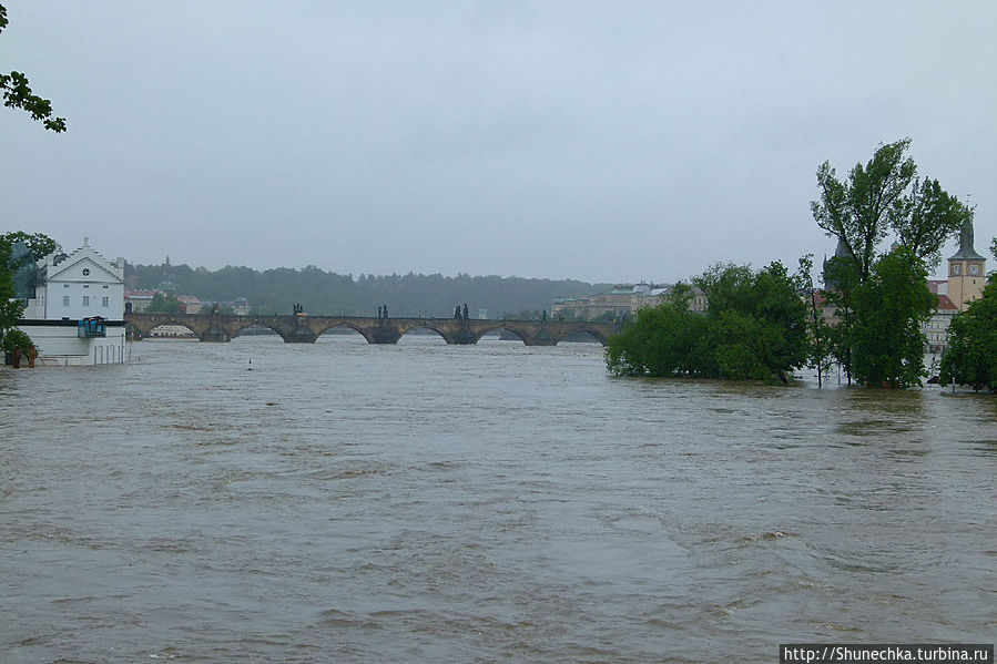 Карлов мост выглядит как никогда одиноким, он был закрыт для пешеходов.