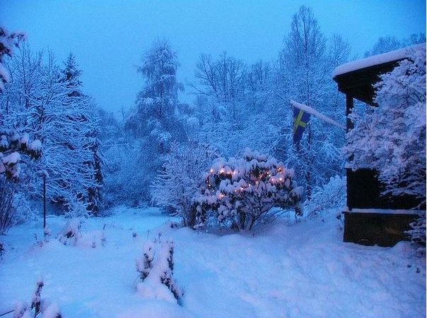 Ждём Рождество по-шведски. Первый Адвент