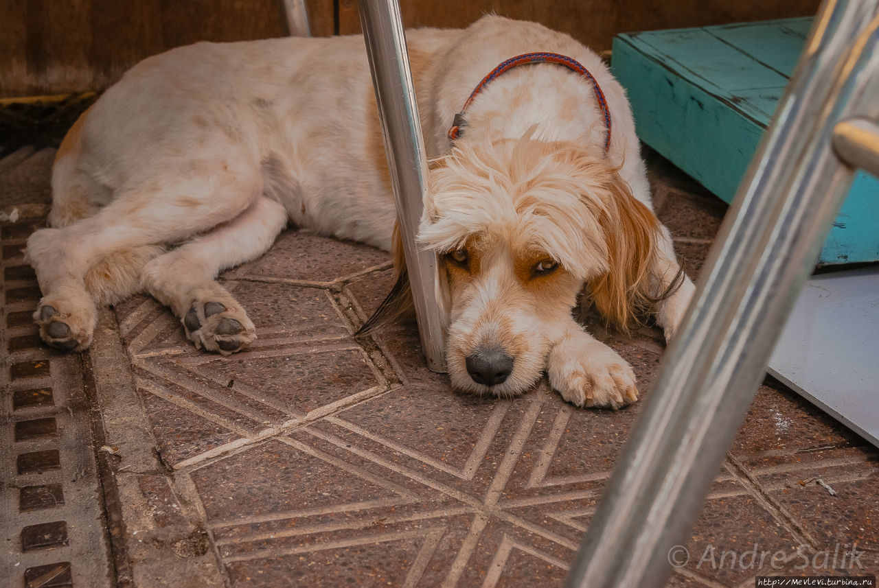 Тарифа, центр города Тарифа, Испания