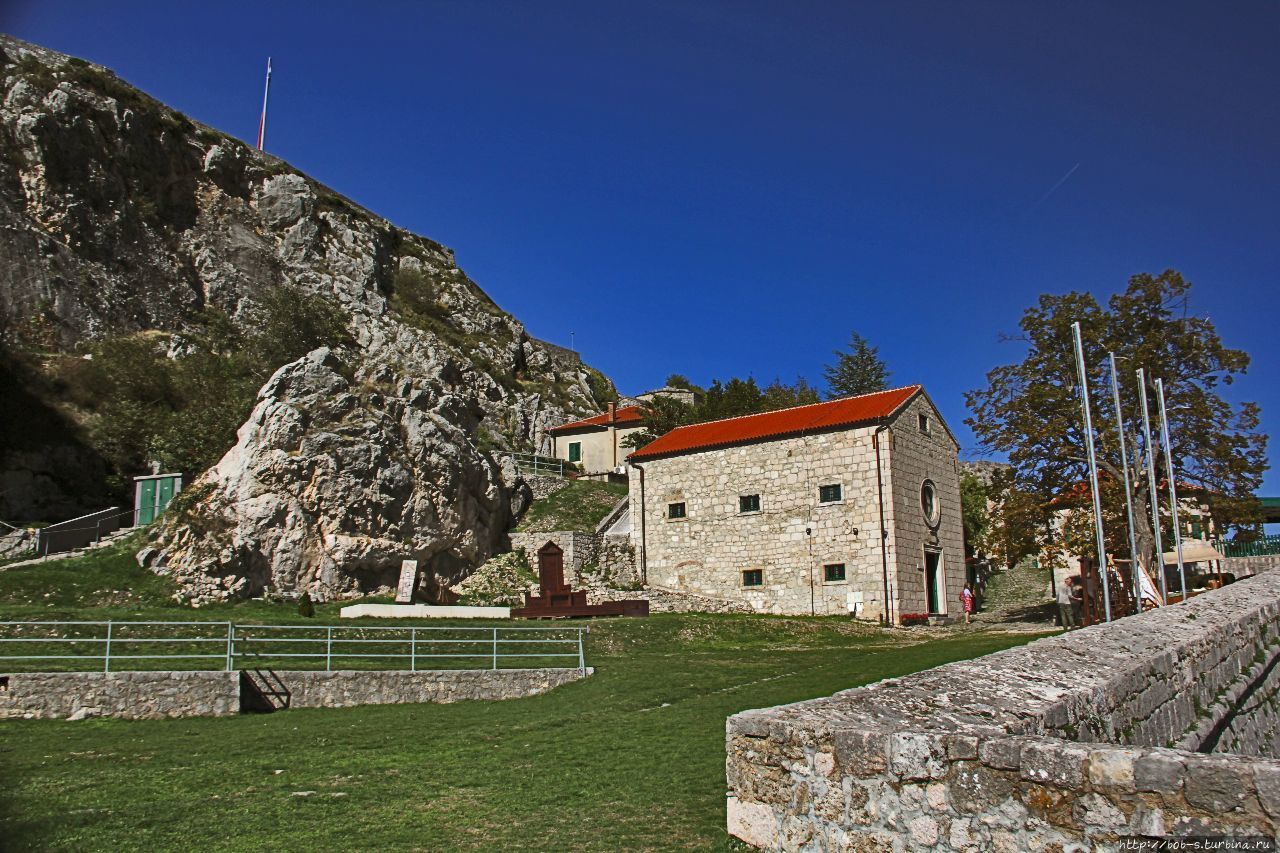 Книно