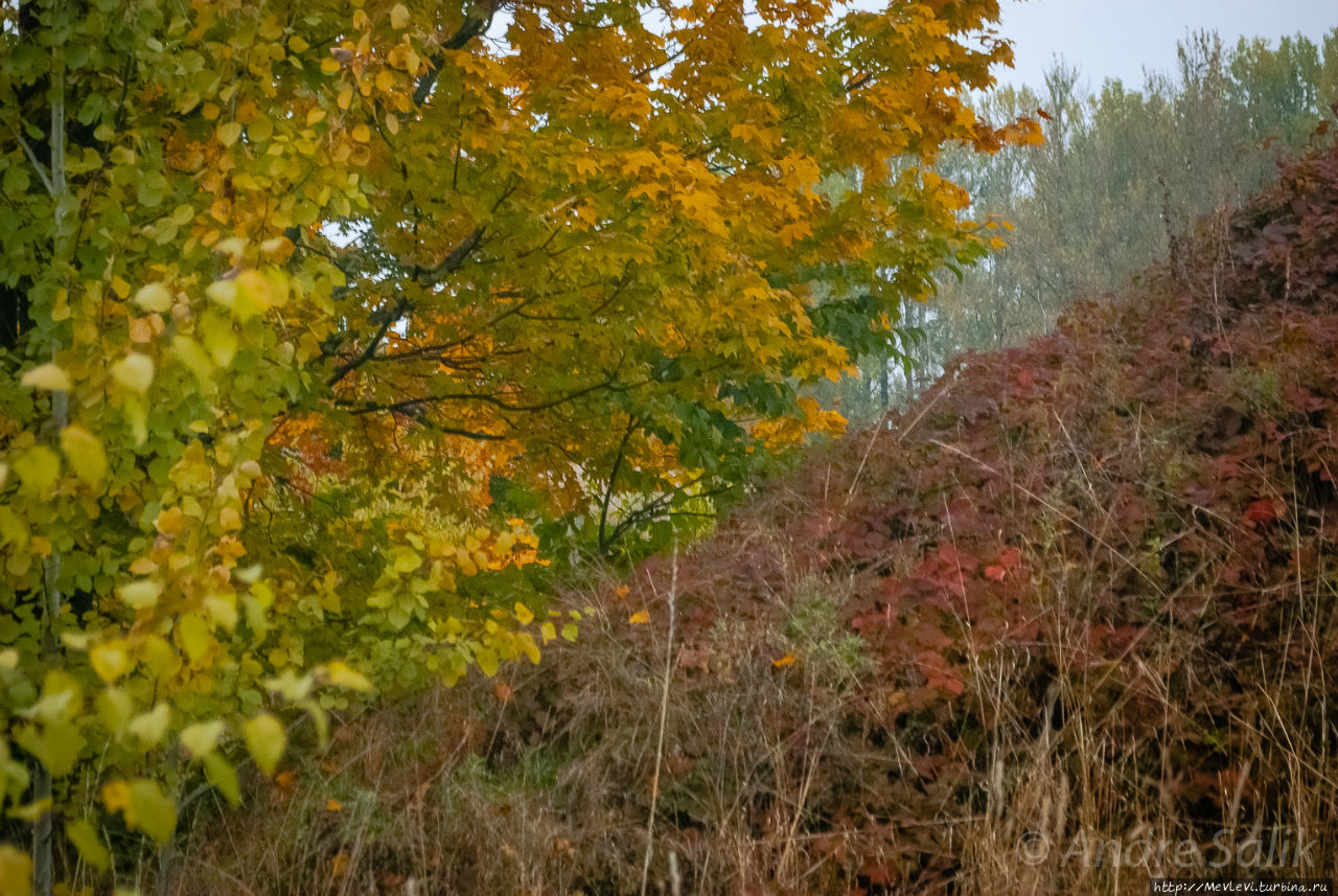 Красивая осень!!! Рига, Латвия