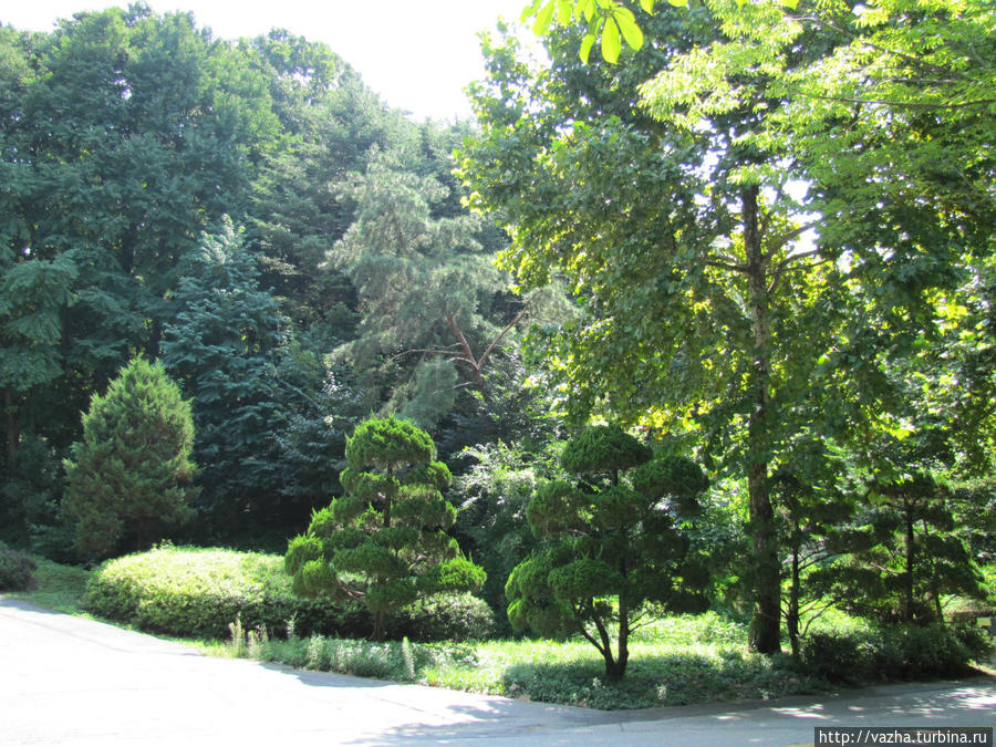 Зоопарк Сеула. Вторая часть. Сеул, Республика Корея