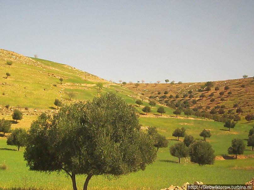 По пути в Марракеш Марракеш, Марокко