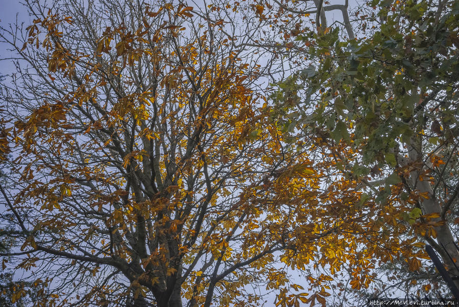 Дневные улицы Стамбула Стамбул, Турция