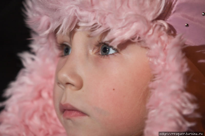 В Ригу на Рождество Латвия