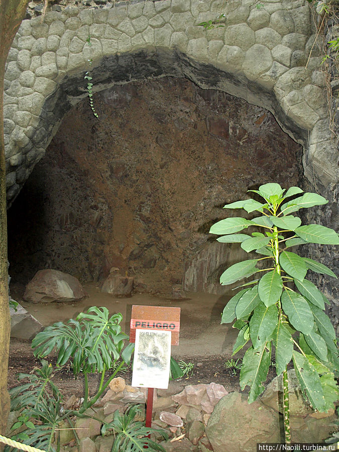Лес Чапультепек и вход в подземный мир Мехико, Мексика
