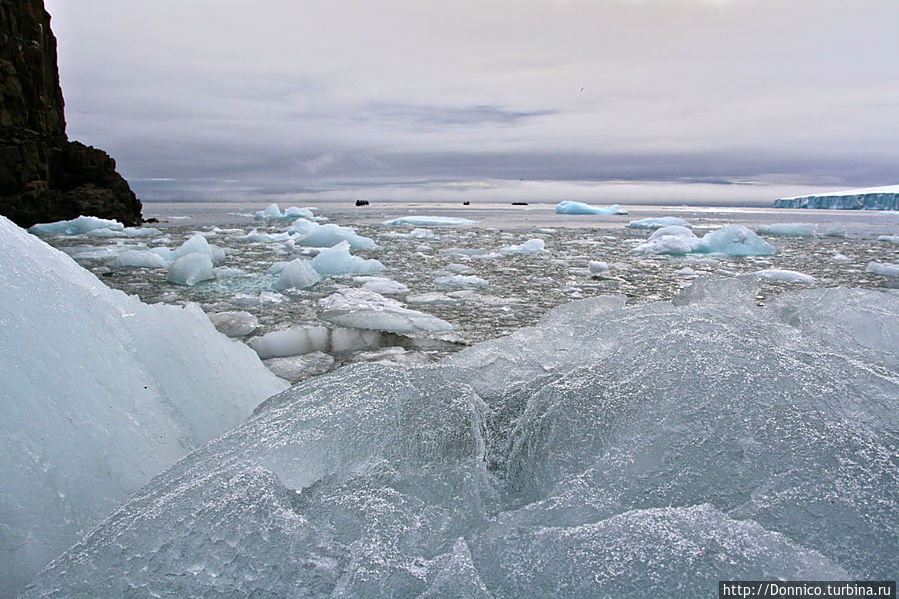 Остановка по требованию на ледяном пляже Земля Франца-Иосифа архипелаг, Россия
