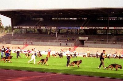 Второй день Зигера в Карлсруэ