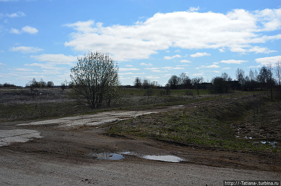 Грачи прилетели Костромская область, Россия