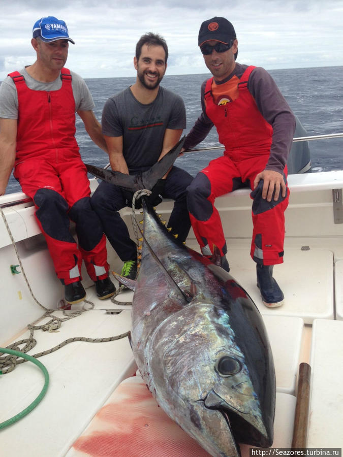 Азорские острова — остров Сан-Мигель / Azores,São Miguel,Sport fishing,jipe and boat tour