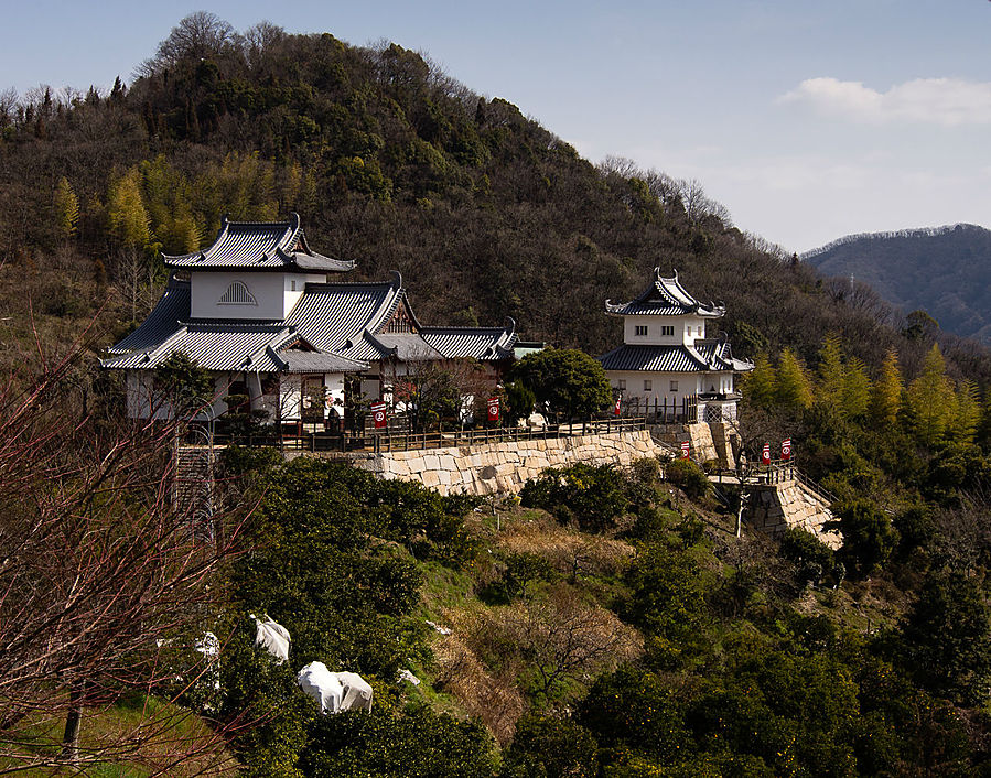 Замок красиво смотрится с вершины соседнего холма. Ономити, Япония