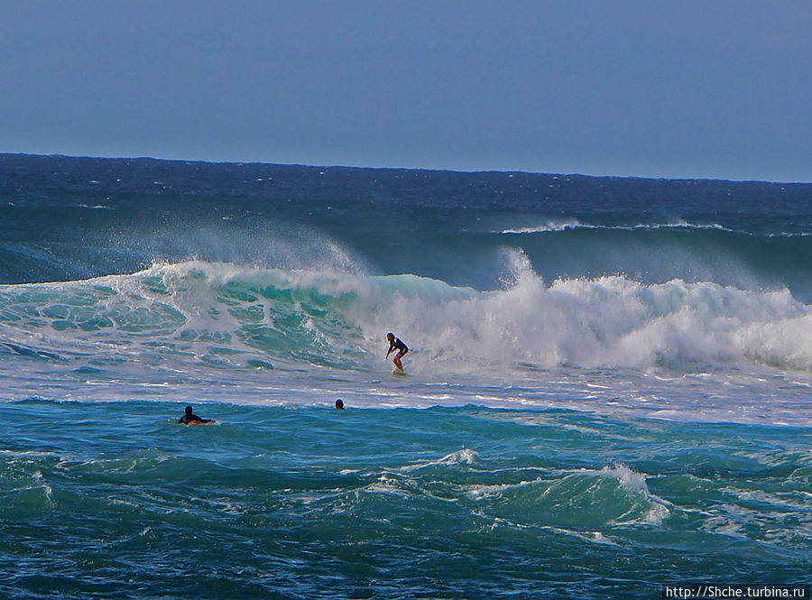 Серфинг, это вам не просто так... этим заниматься нужно Кауэла-Бэй, остров Оаху, CША