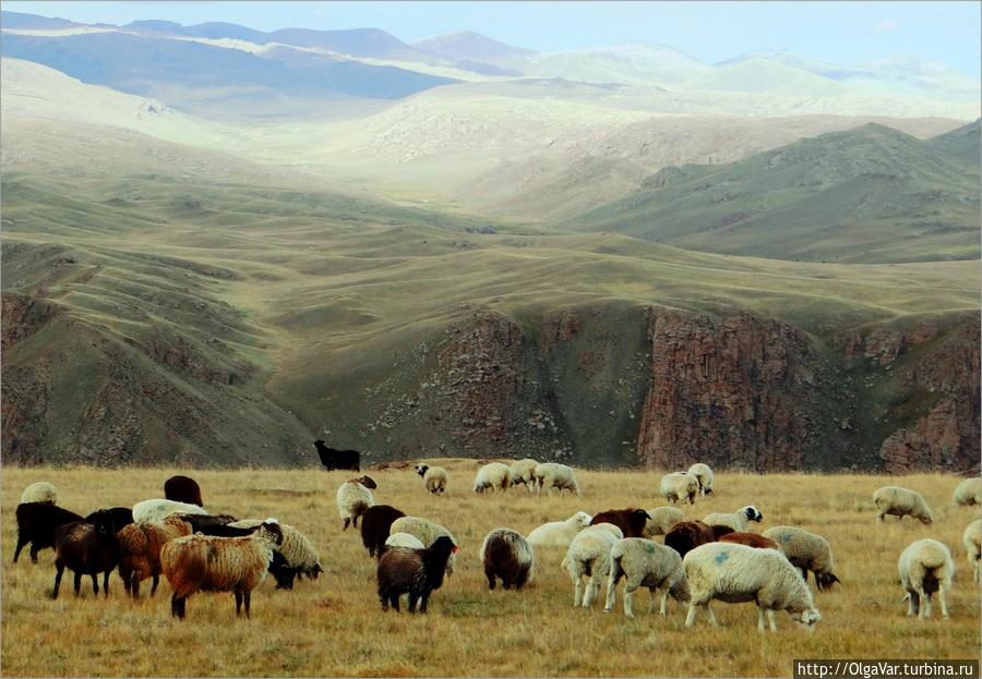 Душа Киргизии – Сон-Куль Озеро Сон-Куль, Киргизия