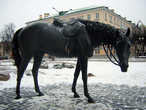 лошадка на площади