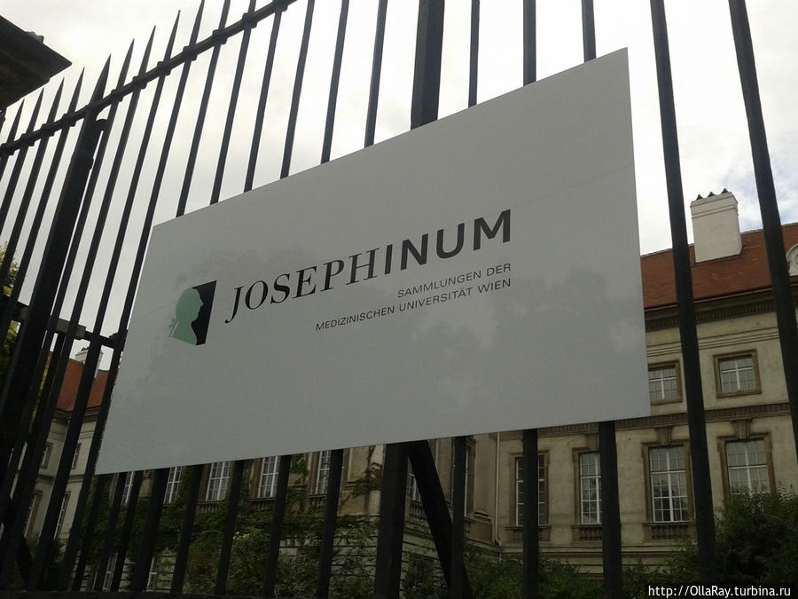 Музей истории медицины Йозефинум Вена, Австрия